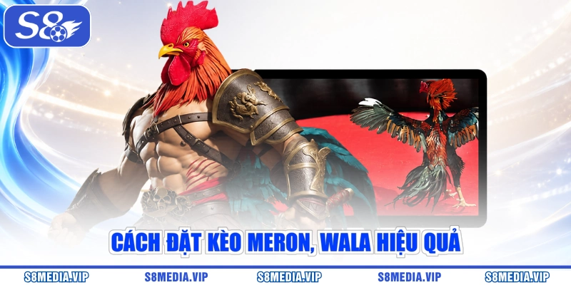 Cách đặt kèo Meron, Wala hiệu quả